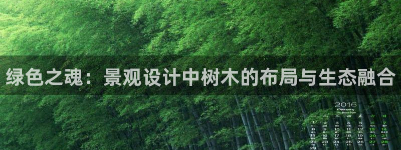 泉州摩根会娱乐有限公司