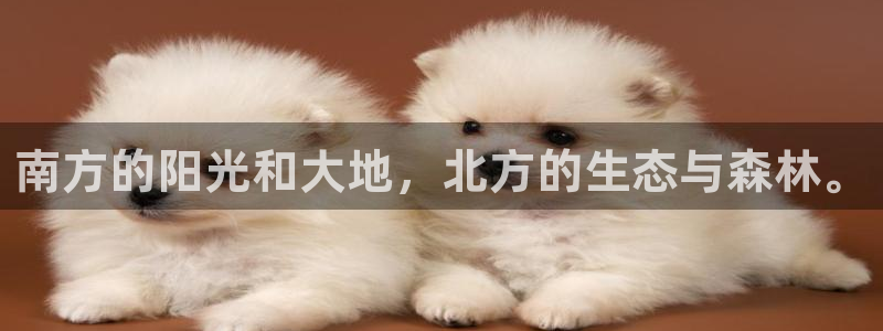 摩根娱乐宝是诈骗吗