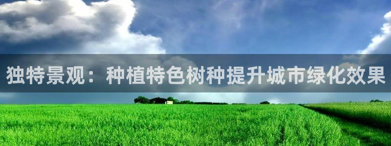 白宫摩根会娱乐有限公司