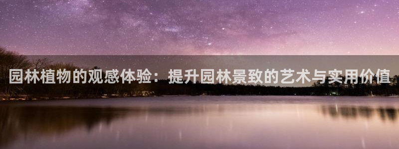 摩根娱乐云挂机是真的嘛
