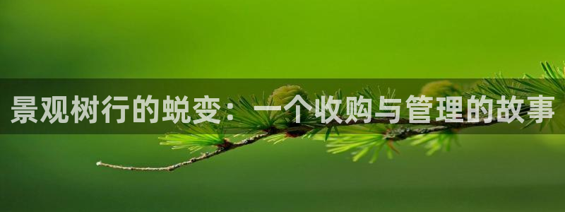 摩根大通黄金娱乐