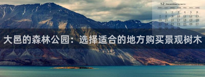 摩根娱乐宝教程