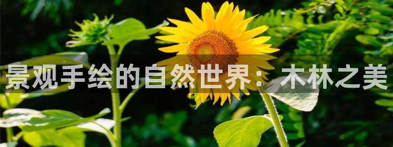下载摩根娱乐宝：景观手绘的自然世界：木林之美