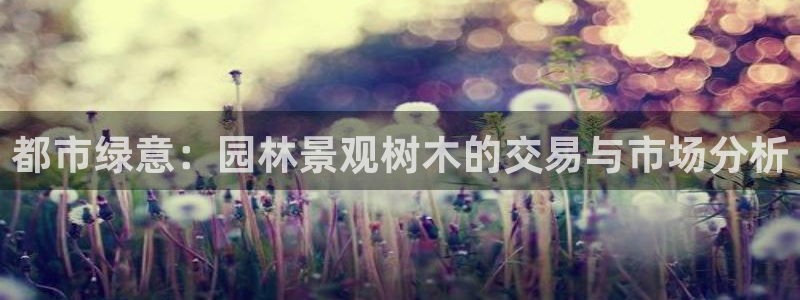 摩根娱乐公司