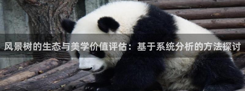 摩根娱乐宝诈骗
