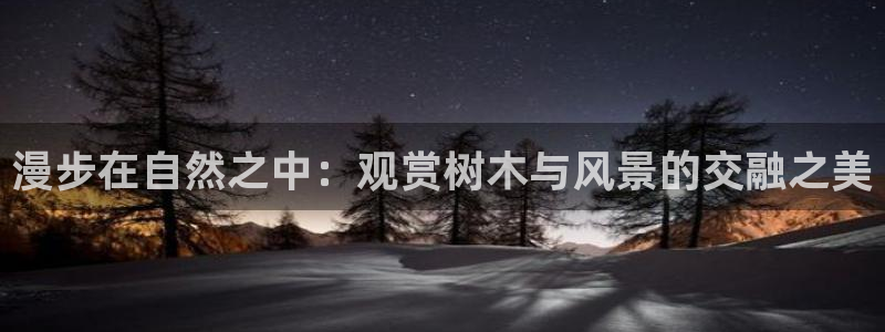 泉州摩根会娱乐：漫步在自然之中：观赏树木与风景的交融之美