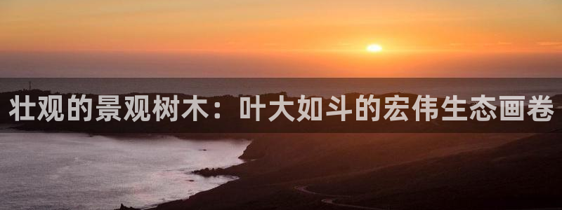 摩根娱乐宝app