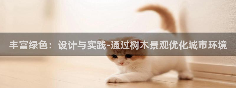 摩根娱乐宝教程