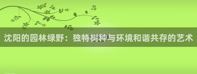 摩根娱乐宝微交易
