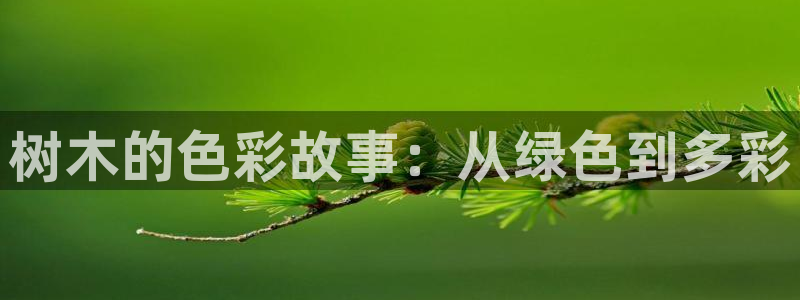 摩根娱乐官网下载：树木的色彩故事：从绿色到多彩