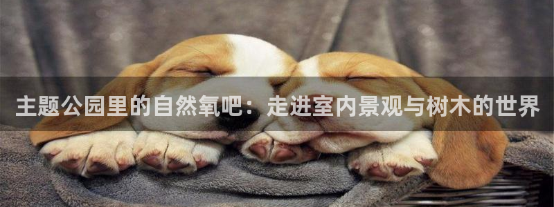 摩根转型娱乐的视频