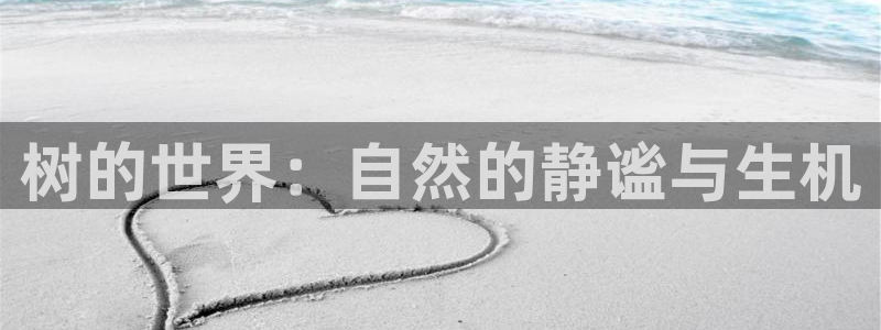 摩根娱乐宝是什么意思