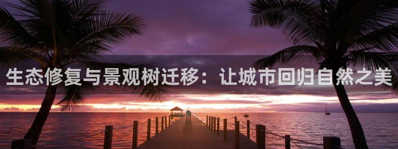 摩根 娱乐宝诈骗