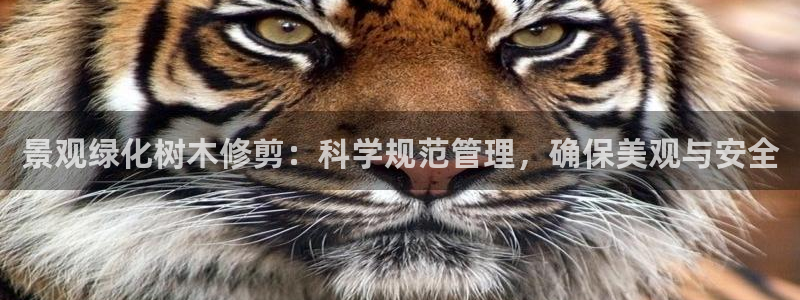 摩根娱乐宝怎么赚钱的