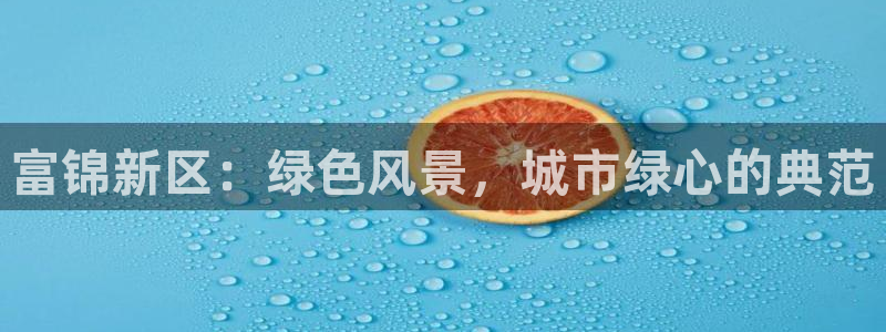 摩根转型娱乐的视频