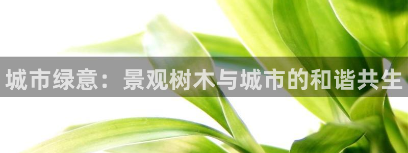 摩根娱乐团