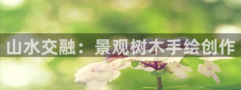摩根娱乐宝收益怎么样