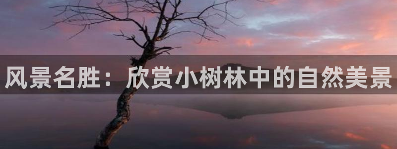 摩根360休闲娱乐