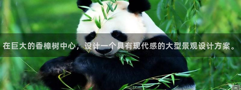 摩根娱乐宝微信客服