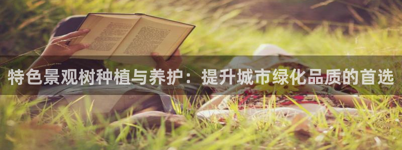 摩根娱乐宝怎么盈利