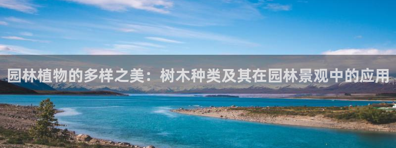 摩根娱乐宝使用操作