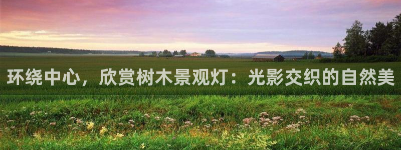 义乌摩根娱乐消费多少