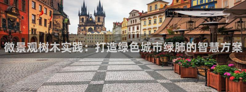 摩根娱乐总部在哪里