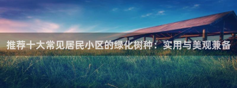 摩根娱乐宝招商