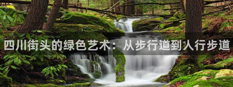 摩根娱乐总部在哪里