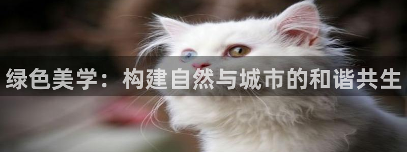 微信里面摩根娱乐宝