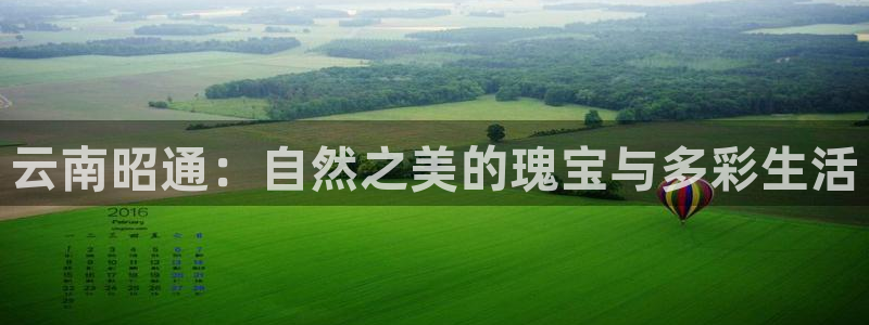 摩根娱乐挂机项目有哪些