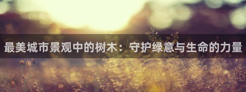 摩根娱乐宝秒单：最美城市景观中的树木：守护绿意与生命的力量