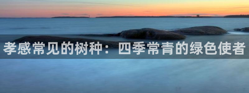 摩根太古互动娱乐中心