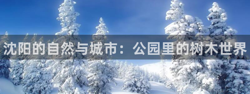 摩根娱乐创始人：沈阳的自然与城市：公园里的树木世界