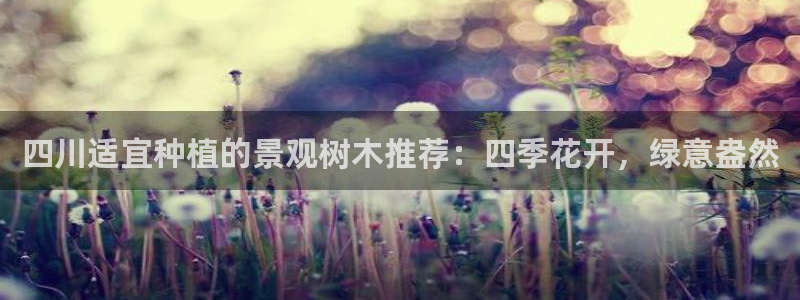 摩根娱乐宝老上不去啊