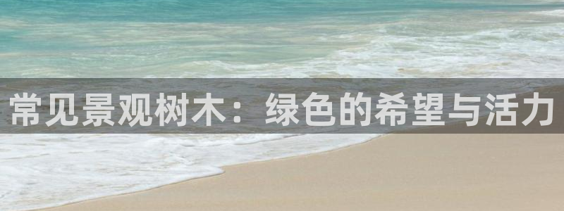 摩根娱乐会所招少爷么