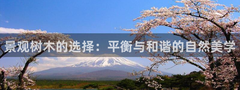 娱乐解说摩根王者荣耀：景观树木的选择：平衡与和谐的自然美学