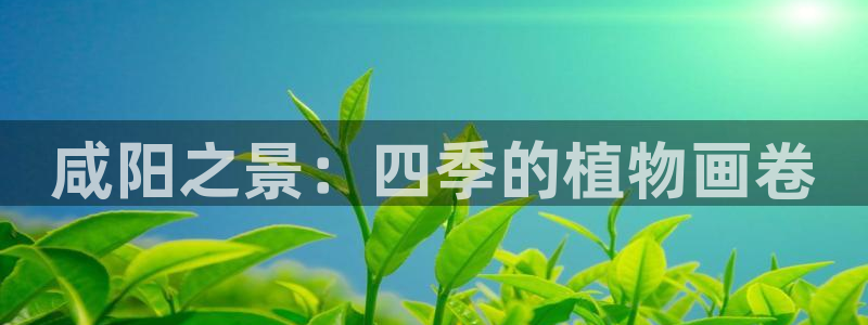 摩根国际娱乐宝进不去：咸阳之景：四季的植物画卷