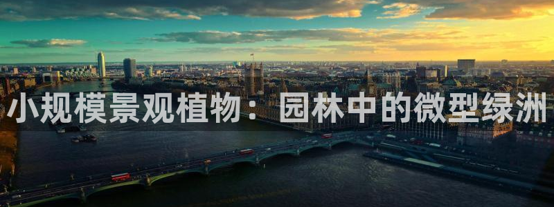 摩根娱乐会所招少爷么